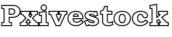 Pxivestock Logo